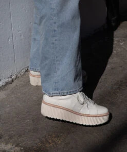 TIGER SNEAKERS WHITE LEATHER(Tiger Sneakers White Leather) 25 TIGER SNEAKERS WHITE LEATHER(Tiger Sneakers White Leather) -Dolce Vita Shop tiger 3